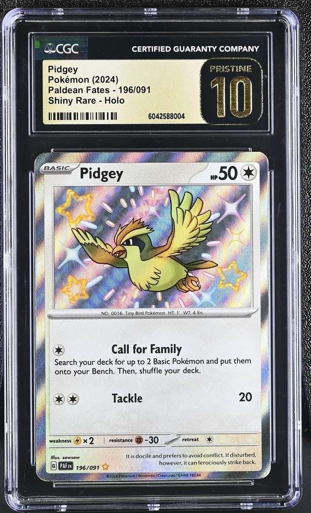 Pidgey