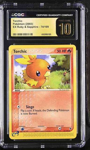 Torchic