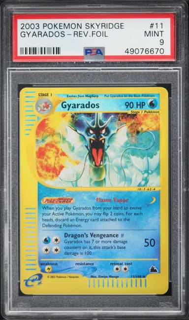 Gyarados R