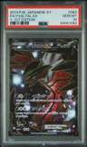 Yveltal Ex