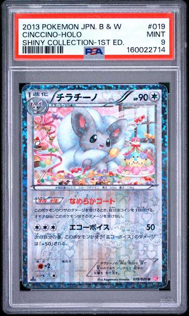 Cinccino