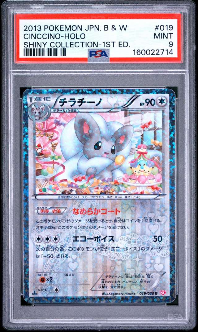 Cinccino