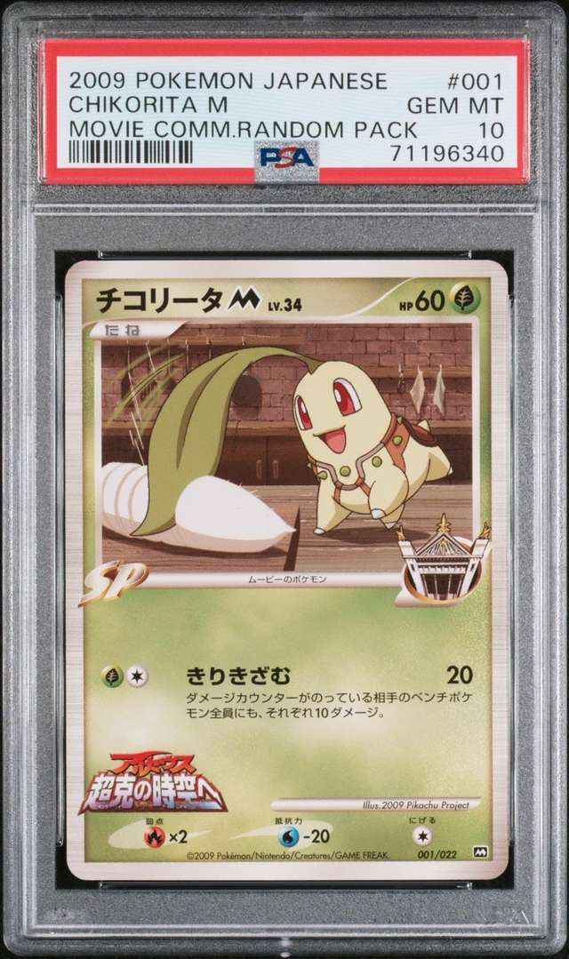Chikorita M
