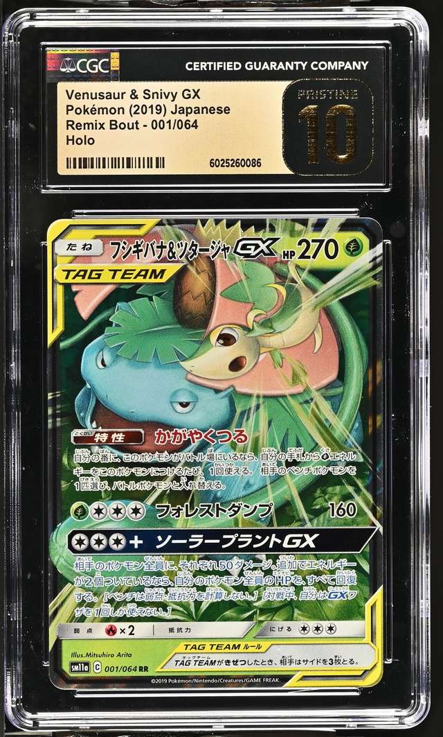 Venusaur & Snivy GX