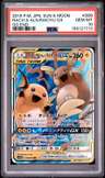 Raichu & Alolan Raichu Gx