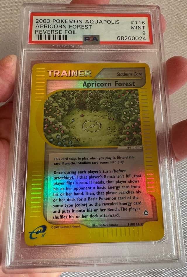 Apricorn Forest