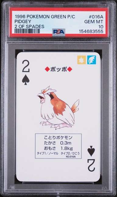 Pidgey