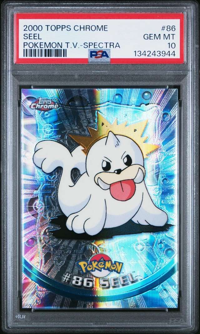 SEEL