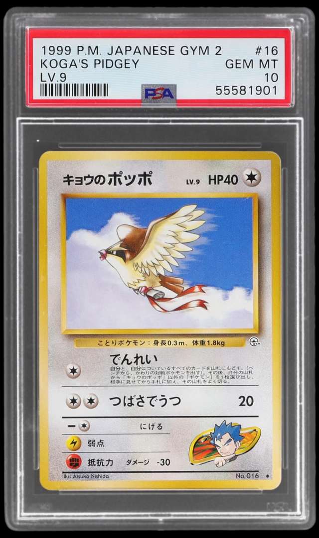 Koga's Pidgey