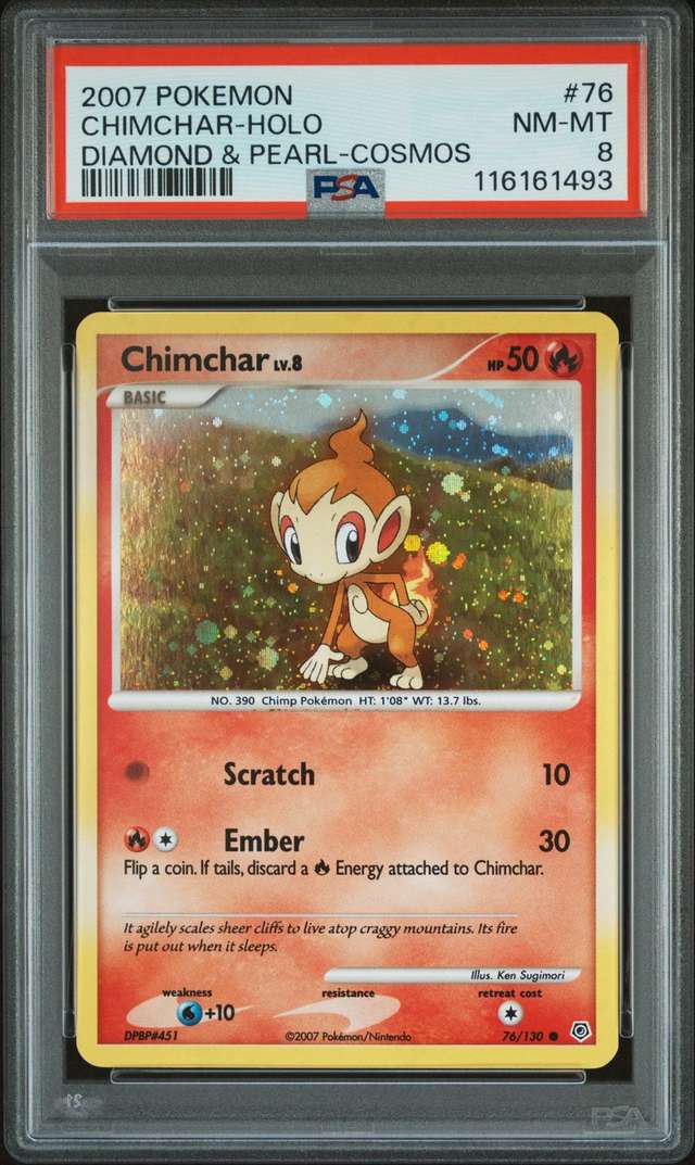Chimchar Lv.8