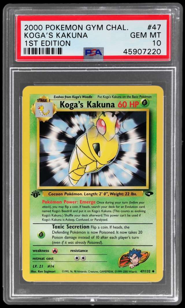 Koga's Kakuna