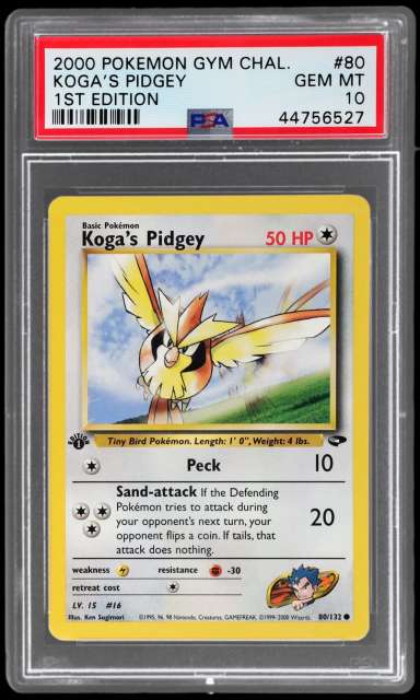 Koga's Pidgey