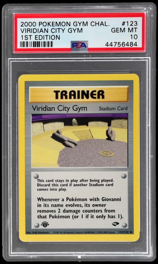 VIRIDIAN CITY GYM