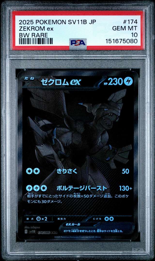 ZEKROM ex