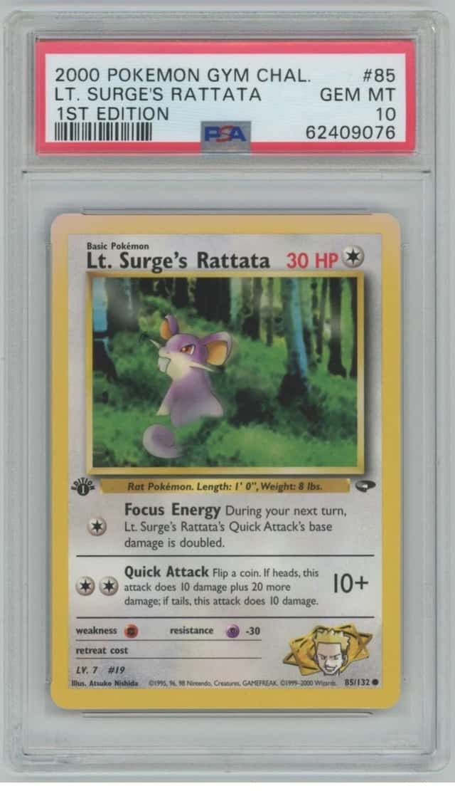 Lt. Surge's Rattata