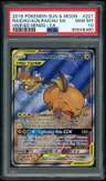 Raichu & Alolan Raichu Gx