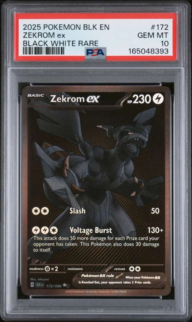 ZEKROM ex
