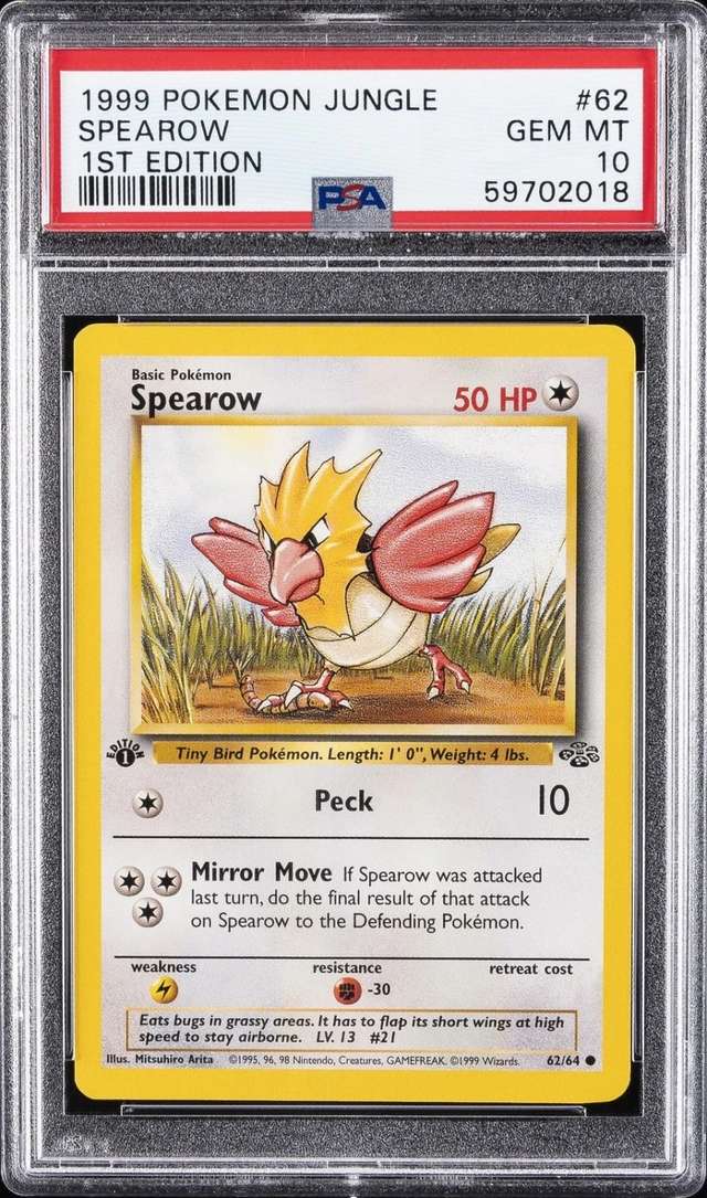 Spearow