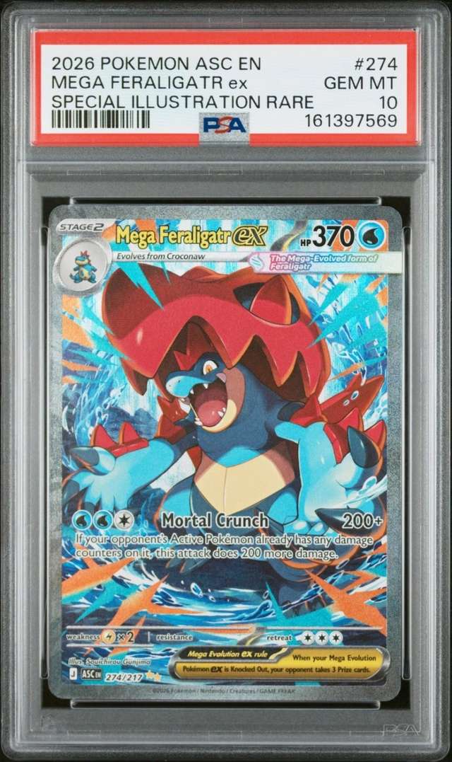 MEGA FERALIGATR ex