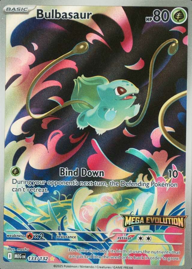 Box Topper