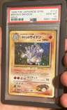 Brock'S Rhydon