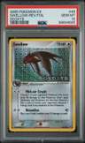 Swellow