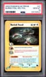 Buried Fossil