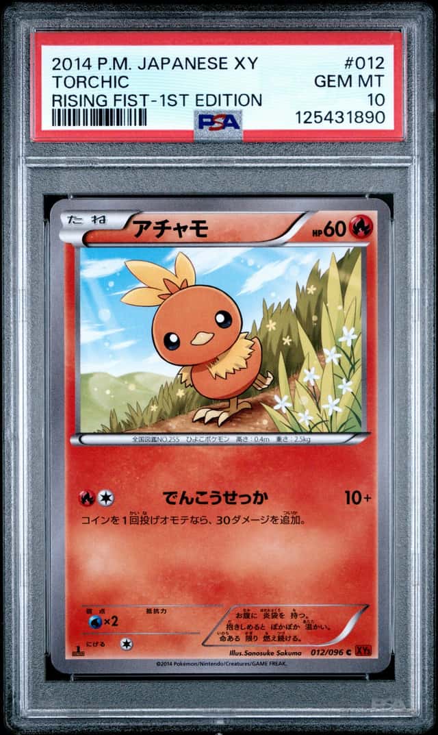 Torchic