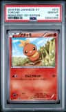Torchic