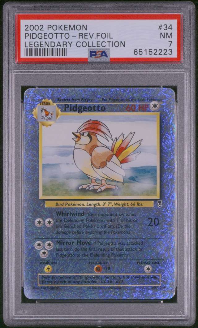 Pidgeotto R