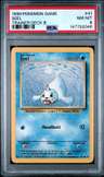 Seel