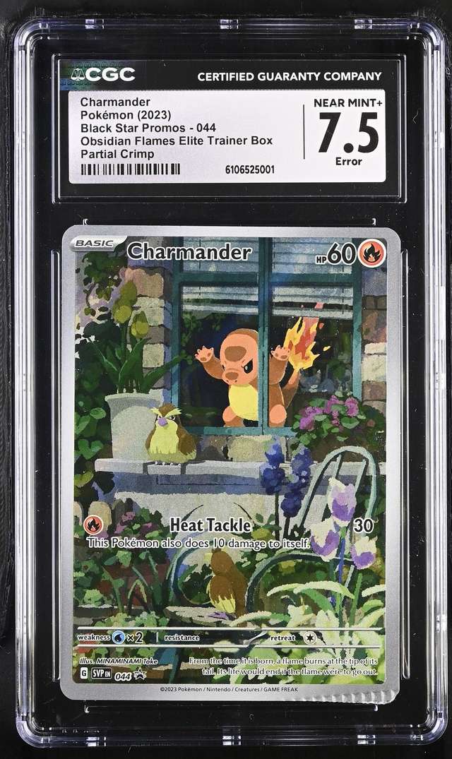 CHARMANDER