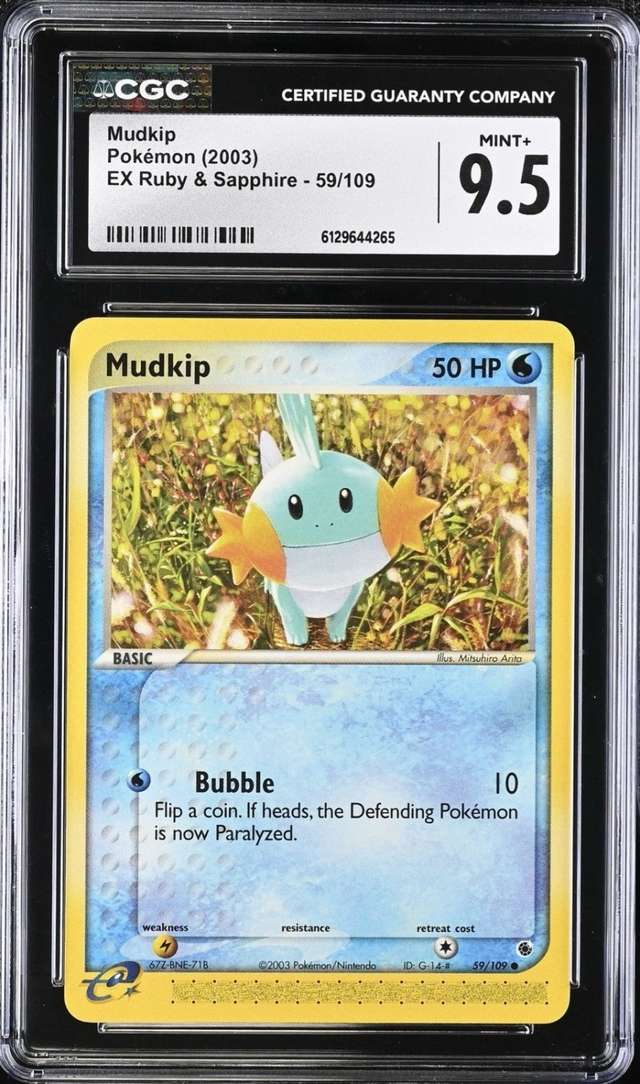 MUDKIP