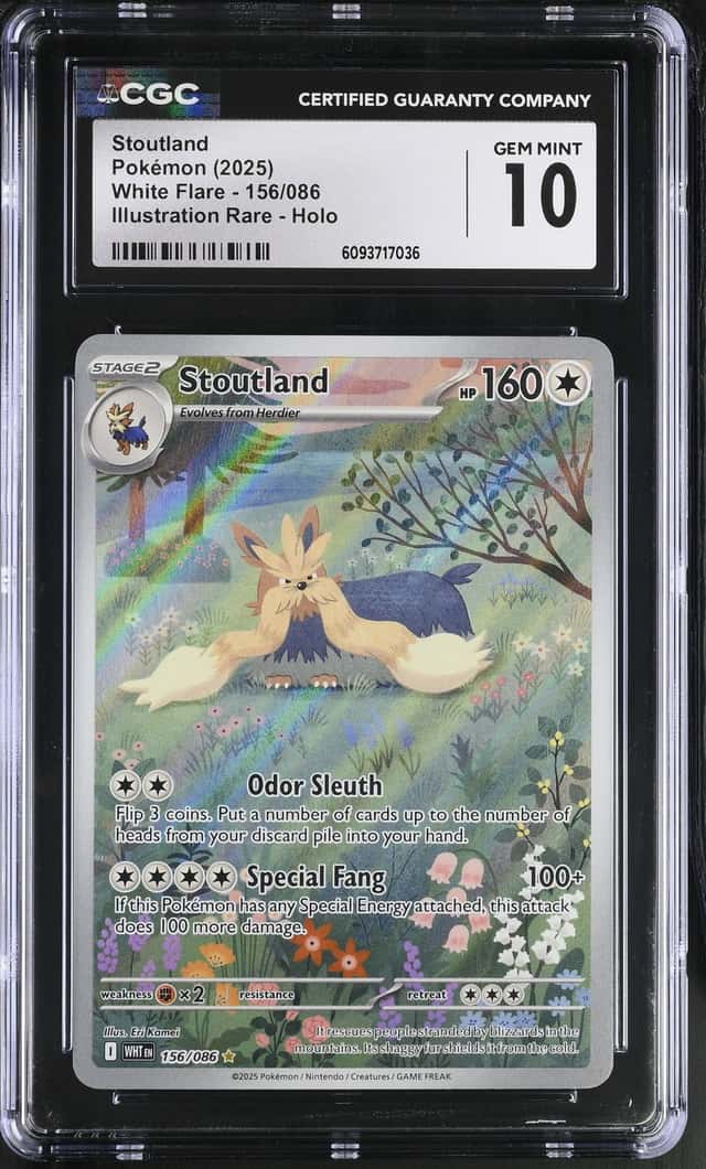 Stoutland