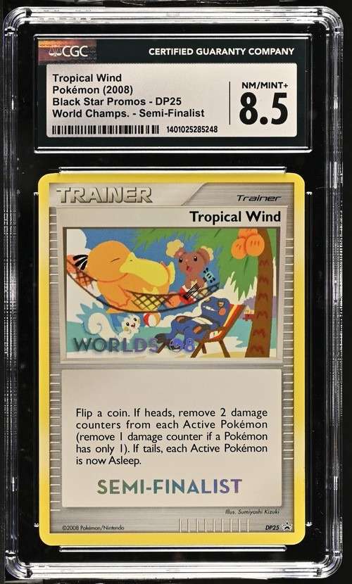 Tropical Wind