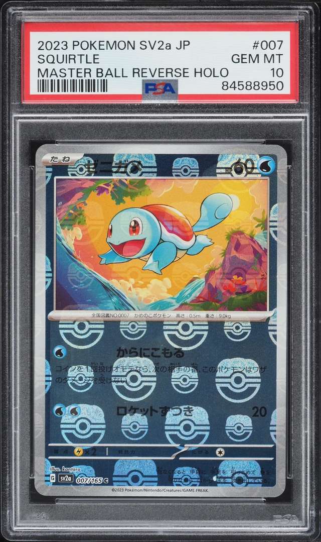 Squirtle