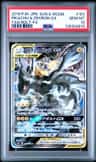 Pikachu & Zekrom Gx