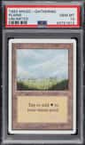 Plains