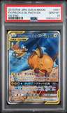 Raichu & Alolan Raichu Gx