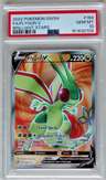 Flygon V