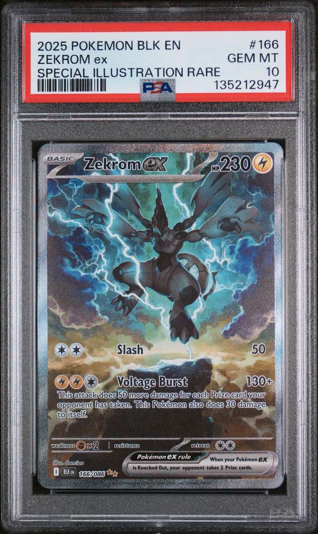ZEKROM ex