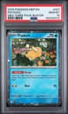 Psyduck