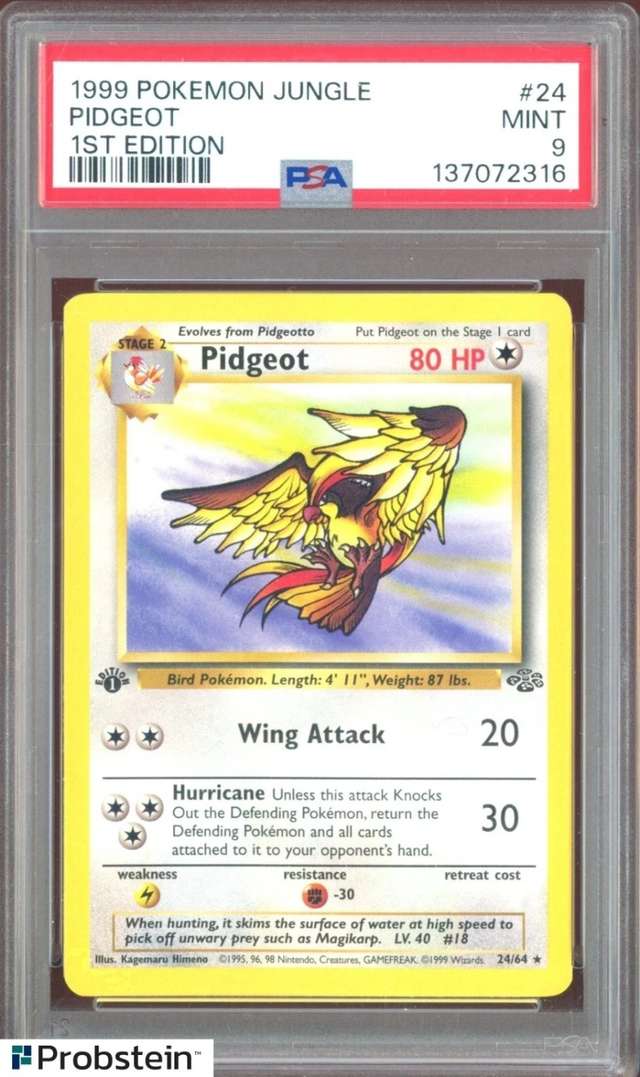 Pidgeot