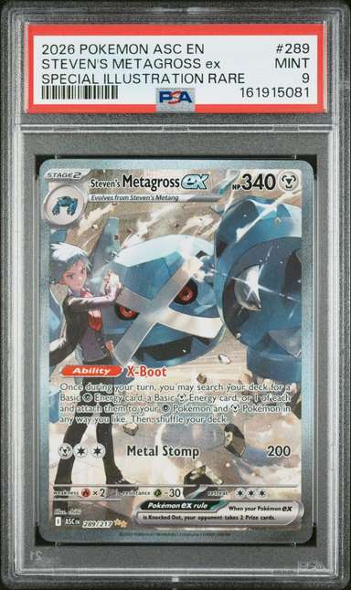 STEVEN'S METAGROSS ex