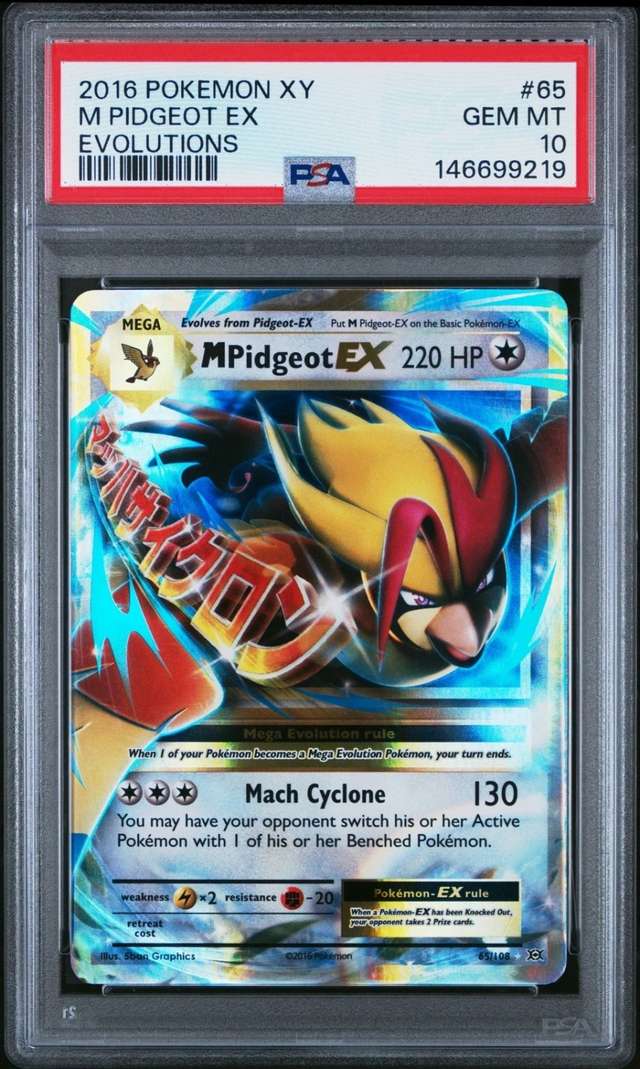 M Pidgeot EX