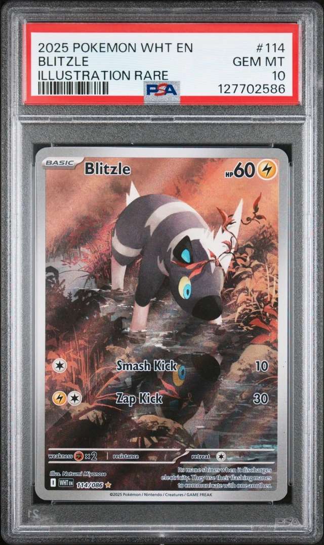 Blitzle