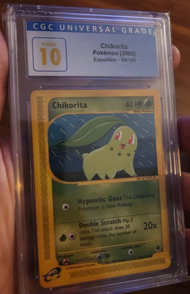 Chikorita
