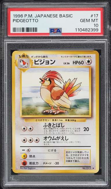 Pidgeotto