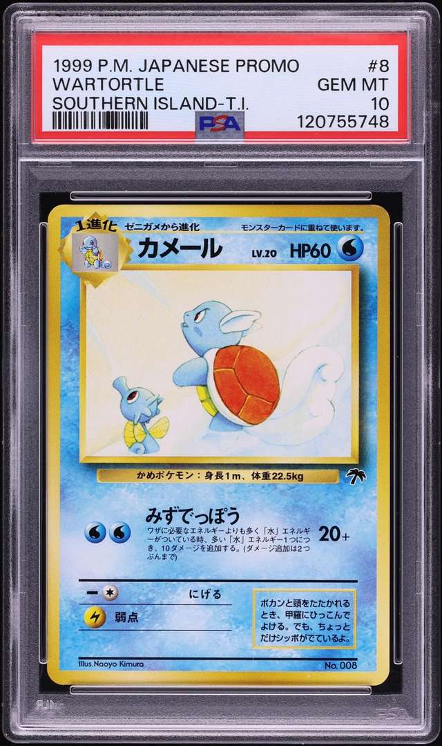 Wartortle