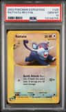 Rattata